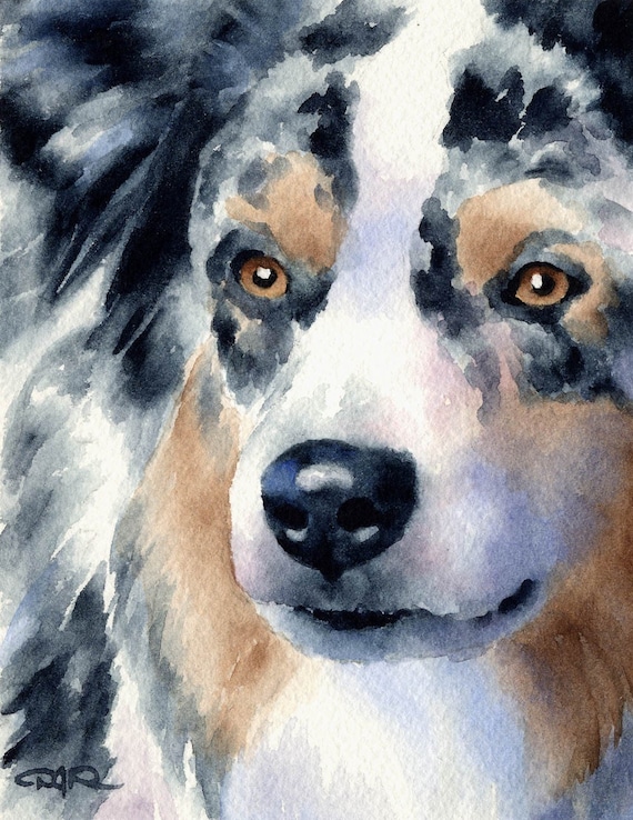 AUSTRALIAN SHEPHERD Original Watercolor Painting by Artist DJ Etsy