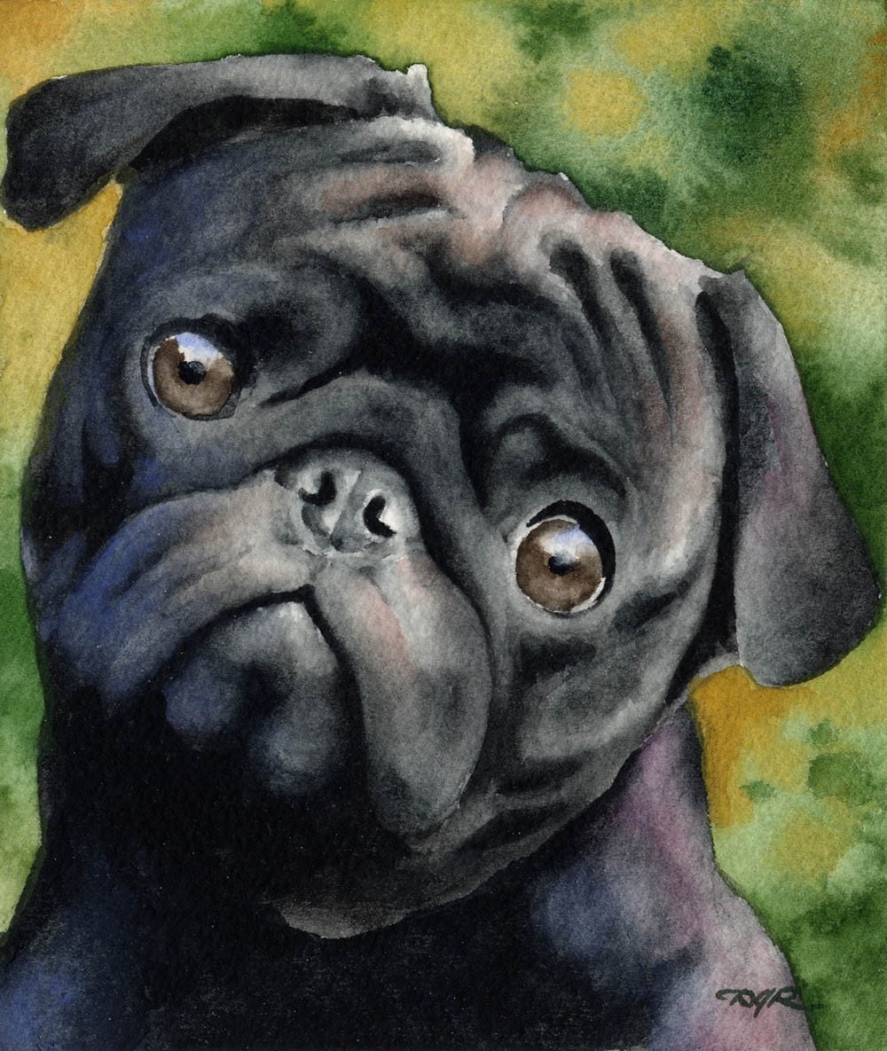 Pug watercolor sale painting