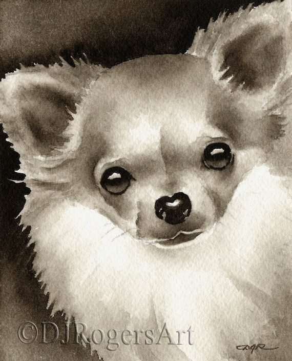Long Haired Chihuahua Sepia Art Print By Watercolor Artist Dj Etsy