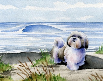 SHIH TZU Art Print Watercolor by Watercolor Artist DJ Rogers