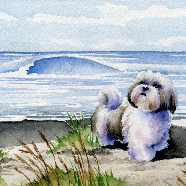 SHIH TZU Art Print Watercolor by Watercolor Artist DJ Rogers