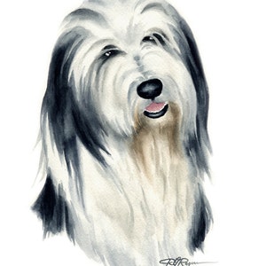 Bärtige Collie Kunstdruck von Aquarell Künstler DJ Rogers
