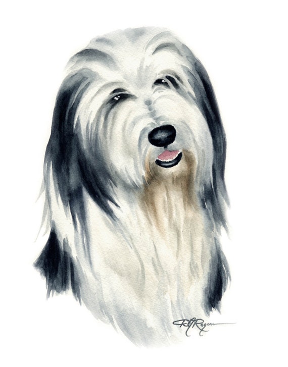 Old English Sheepdog Watercolor Art Print by Artist DJ Rogers