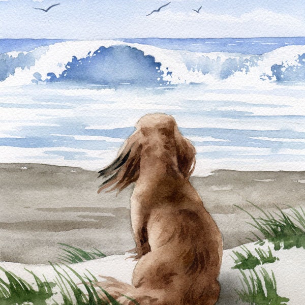 Impresión de arte Dachshund de pelo largo "Long Haired Dachshund At The Beach" por el artista D J Rogers