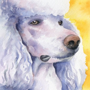 WHITE POODLE Art Print  Watercolor by Artist DJ Rogers