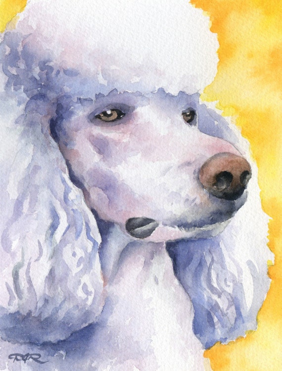 Poodle Art Print Sepia Watercolor 11 x 14 by Artist DJR