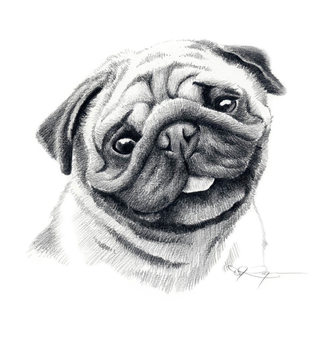 Buy PUG Dog Pencil Drawing ART Print by Artist DJ Rogers Online in ...