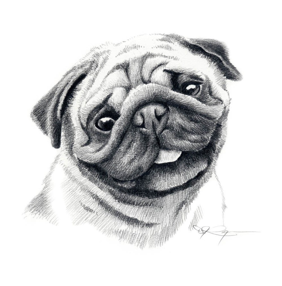 PUG Lápiz de Perro Dibujo ARTE Impresión por el Artista DJ - Etsy España