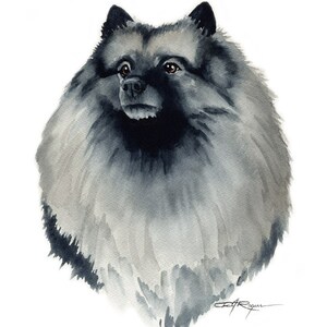 KEESHOND Art Print by Watercolor Artist DJ Rogers