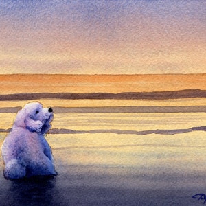 Bichon Frise Kunstdruck &quot;BICHON FRISE SUNSET&quot; Aquarell von Künstler D J Rogers
