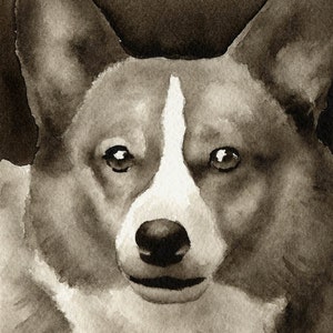 WELSH CORGI Sepia Art Print by Watercolor Artist DJ Rogers