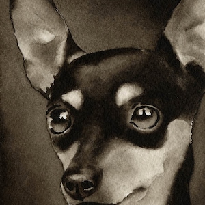 MINIATURE PINSCHER Sepia Art Print by Watercolor Artist DJ Rogers