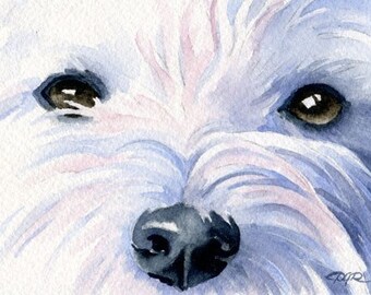 West Highland Terrier Art Print Watercolor Painting by DJ Rogers