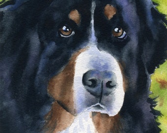 BERNESE MOUNTAIN DOG Art Print by Watercolor Artist D J Rogers