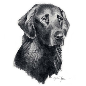 FLAT COATED RETRIEVER Dog Art Print by Artist D J Rogers