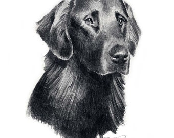 FLAT COATED RETRIEVER Dog Art Print by Artist D J Rogers