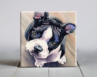 Boston Terrier Ceramic Tile - Boston Terrier Decorative Tile - Dog Lover Gift - Unique Dog Gifts