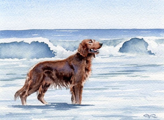 Irish sales setter art