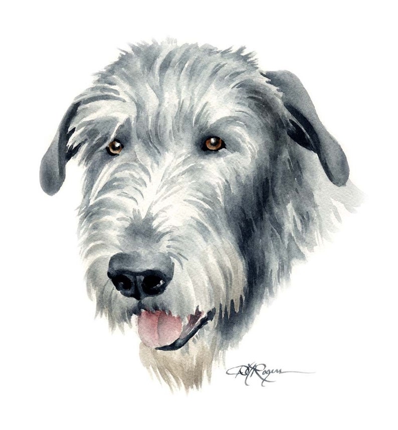 IRISH WOLFHOUND Art Print by Artist DJ Rogers Etsy