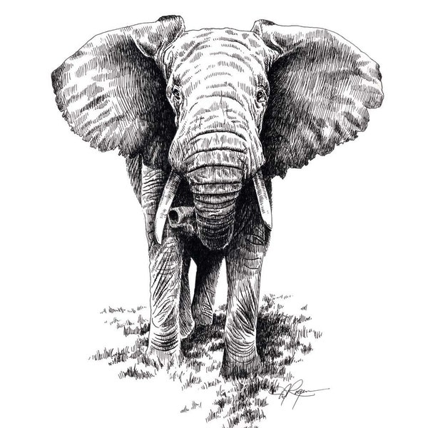 AFRICAN ELEPHANT Wildlife Art Print by Artist DJ Rogers