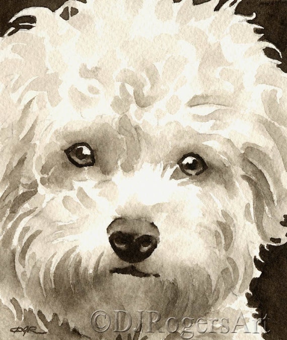 Poodle Art Print Sepia Watercolor 11 x 14 by Artist DJR