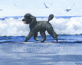 Standard Black Poodle Art Print "Black Poodle At The Beach" by Watercolor Artist DJ Rogers