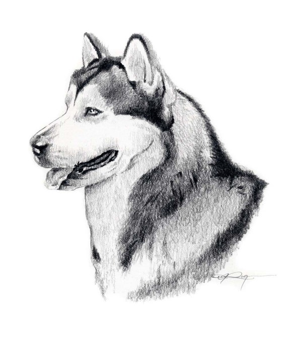 Siberian Husky Art Print Sepia Watercolor Painting by Artist DJR