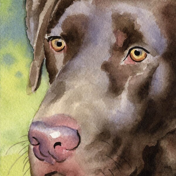 LABRADOR RETRIEVER CHOCOLATE LAB Dog Signed Art Print by Artist DJ Rogers