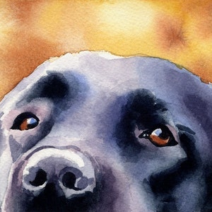 BLACK LAB Art Print by Watercolor Artist DJ Rogers