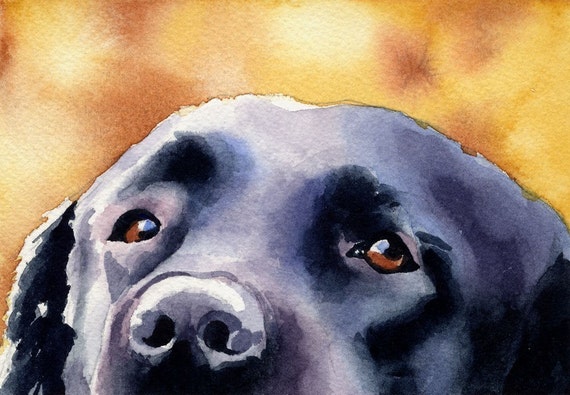 BLACK LAB Oil Painting ART PRINT 11 X 14 Signed by Artist DJR