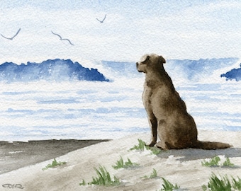 Chocolate Lab Art Print "CHOCOLATE LAB At The Beach" Watercolor by Artist D J Rogers