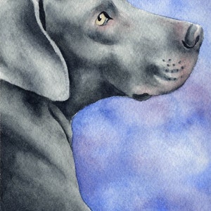 WEIMARANER Art Print by Artist DJ Rogers