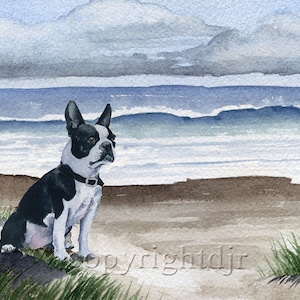 Boston Terrier Art Print "BOSTON TERRIER At The Beach Dog" by Watercolor Artist DJ Rogers