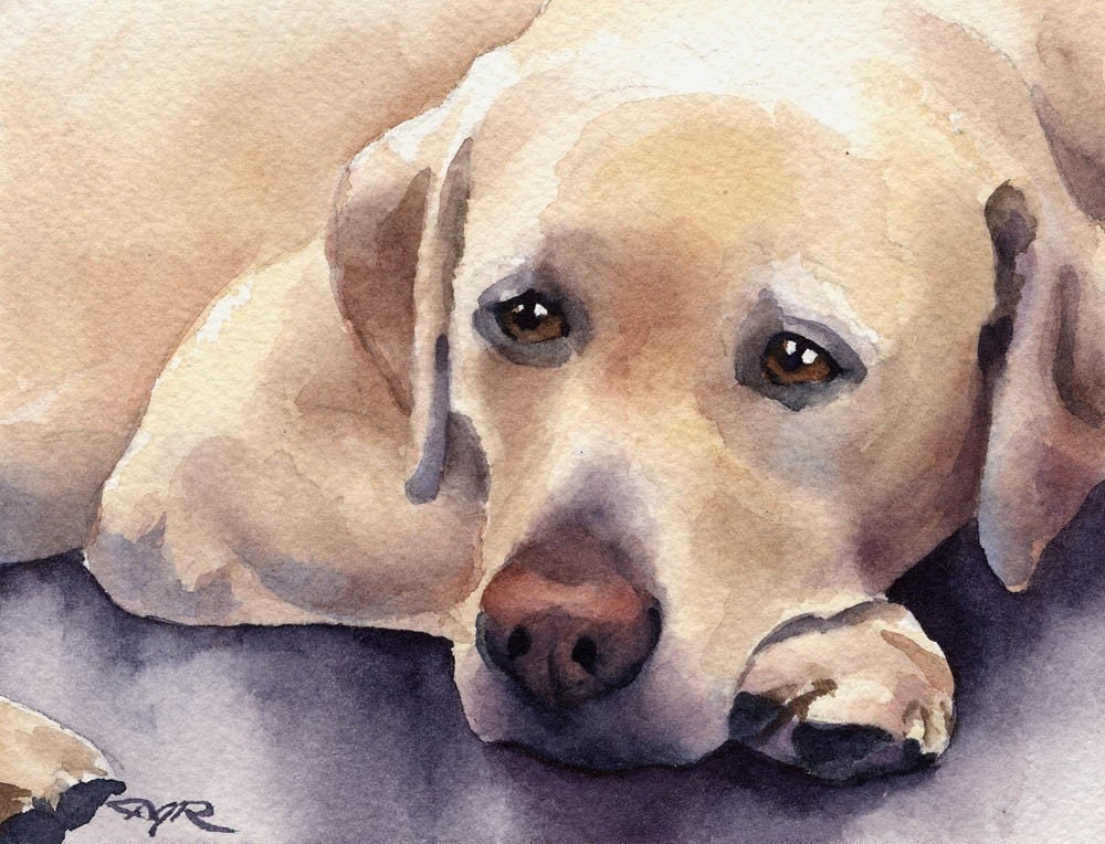 LABRADOR RETRIEVER Painting Dog ART 13 X 17 by Artist DJR 