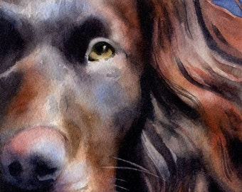 BOYKIN SPANIEL Art Print Watercolor by Watercolor  Artist DJ Rogers