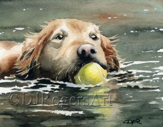 GOLDEN RETRIEVER Art Print by Watercolor Artist DJ Rogers