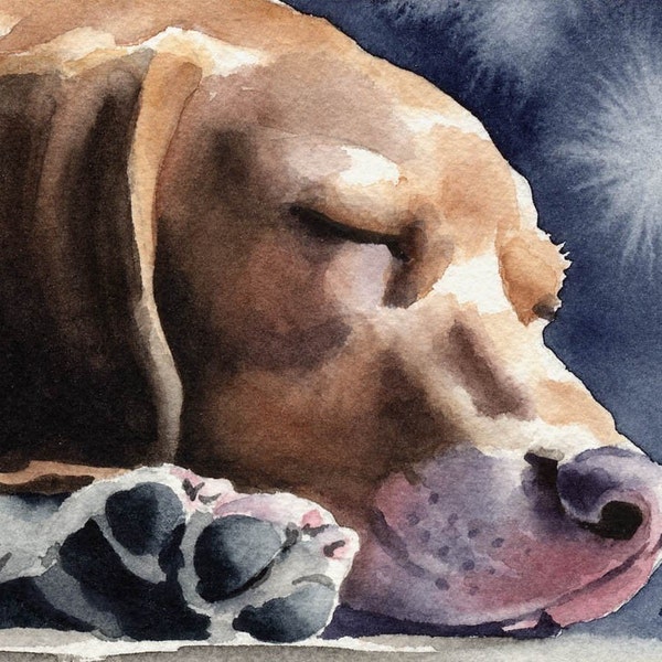 BEAGLE Art Print Signed by Artist DJ Rogers