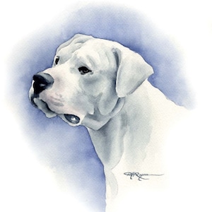 Impressão artística de Dogo Argentino pelo artista de aquarela DJ Rogers