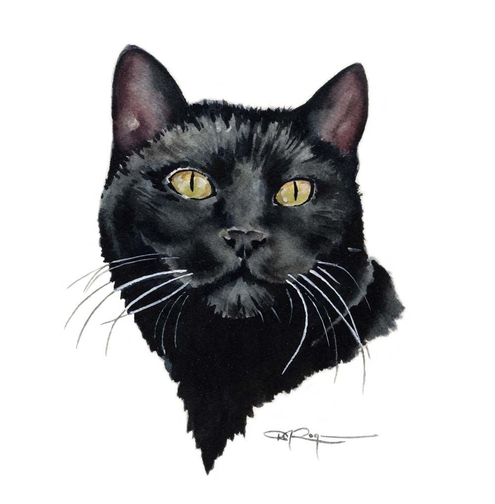 Black Cat Art Print By Watercolor Artist Dj Rogers | Etsy