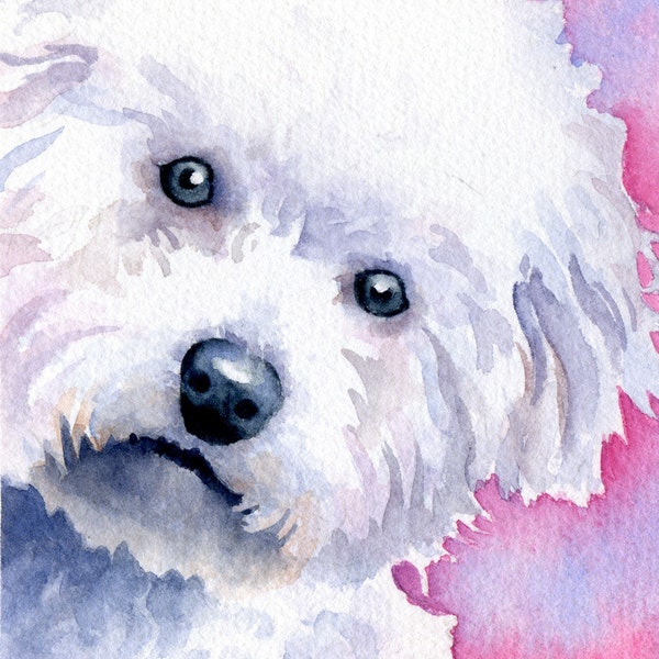 BICHON FRISE Dog Watercolor Art Print by Artist DJ Rogers