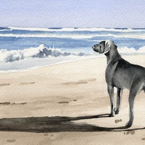 Weimaraner Art Print &quot;Weimeraner at the Beach&quot; by Watercolor Artist DJ Rogers