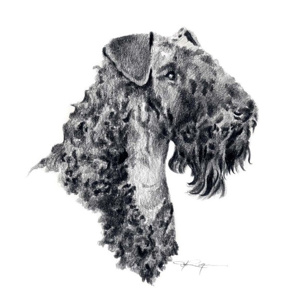 Kerry Blue Terrier Umbrella Kerry Blue Terrier Umbrella