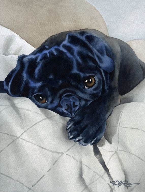 Black Pug Puppy Art Print By Artist Dj Rogers Etsy