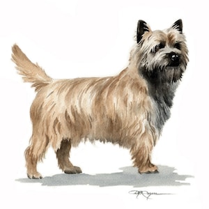 CAIRN TERRIER Art Print by Watercolor Artist DJ Rogers