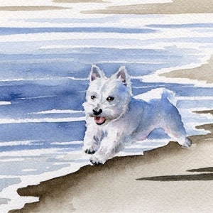 WEST HIGHLAND TERRIER Art Print by Watercolor Artist D J Rogers