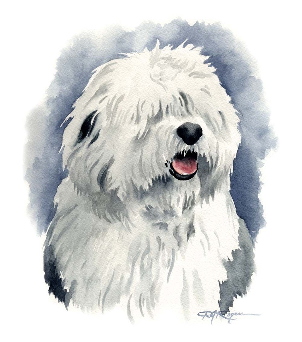 canin professionals royal canin old english sheepdog