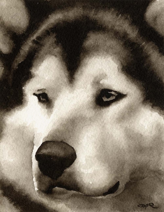 Chinese Crested Art Print Sepia Watercolor 11 x 14 by Artist DJR
