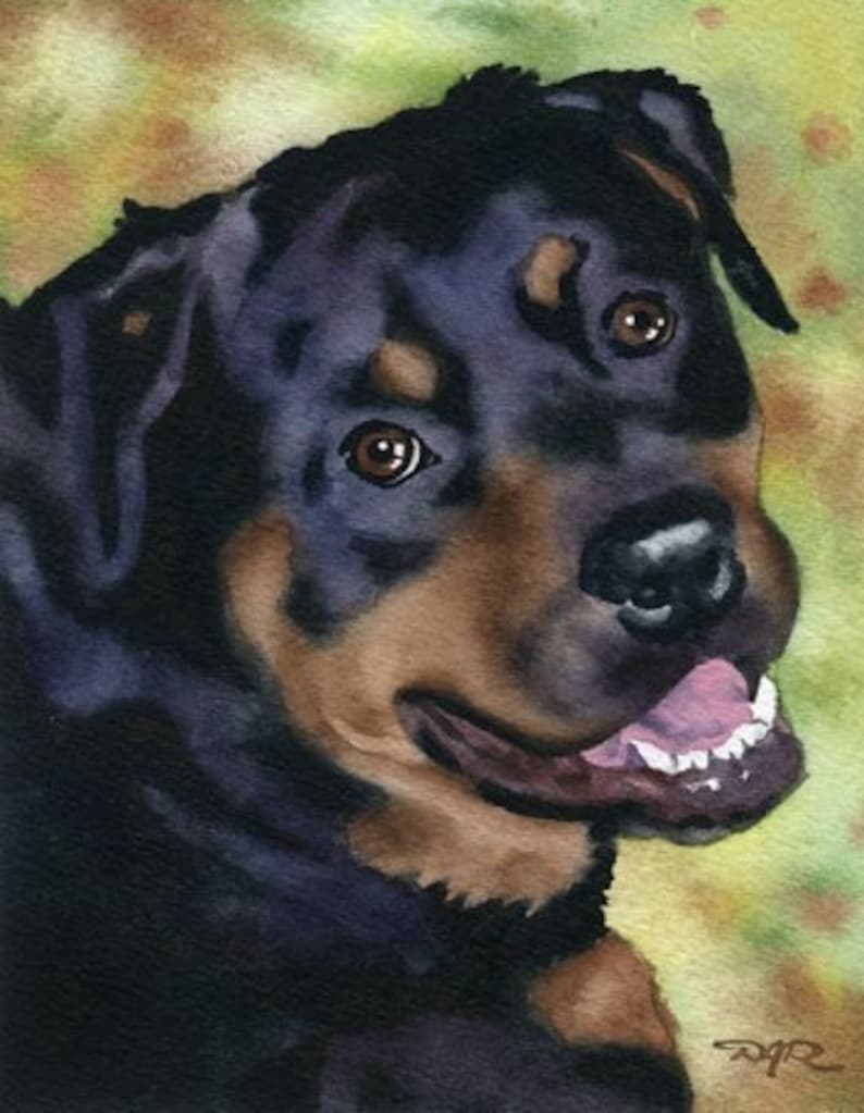 ROTTWEILER Art Print Watercolor by Artist DJ Rogers Etsy