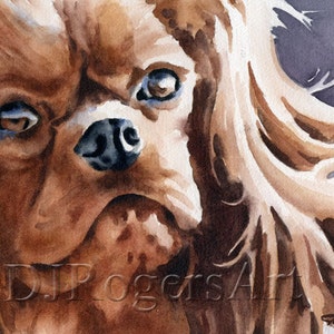 RUBY CAVALIER King Charles Spaniel Art Print Watercolor by Artist DJ Rogers