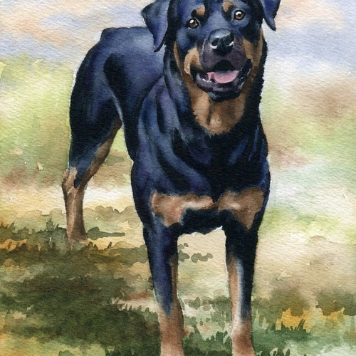 ROTTWEILER PUPPY Art Print by Watercolor Artist DJ Rogers Etsy